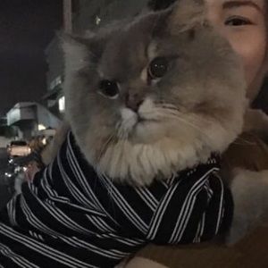 Meet your Posher, Ike